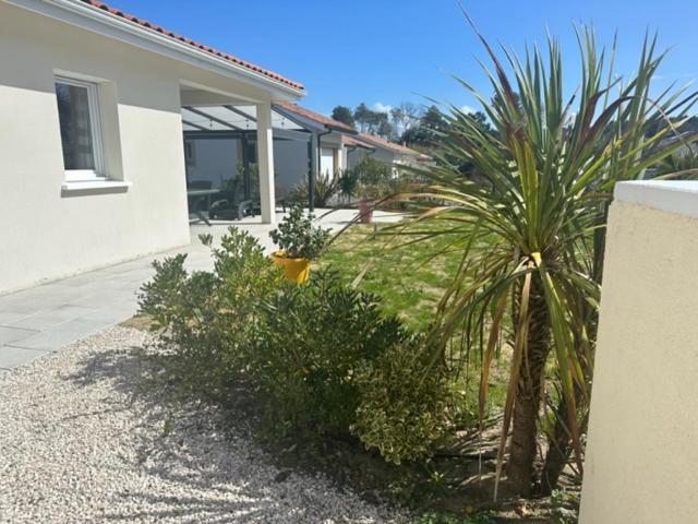 Belle Maison Malou Climatisee Calme, Piscine, Jacuzzi 3Km Plage Labenne Capbreton Dış mekan fotoğraf